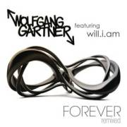 Forever (Felix Cartal Remix Instrumental)