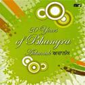 20 Years of Bhangra