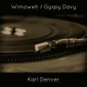 Wimoweh / Gypsy Davy