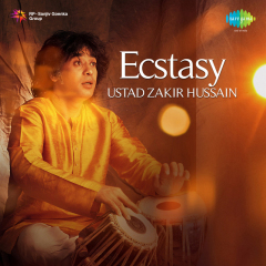 Tabla Solo Recital - Ustad Zakir Hussain