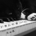 孤独症的猫 (钢琴版)