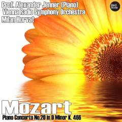 Piano Concerto No.20 in D Minor, K. 466: I. Allegro