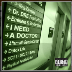 I Need A Doctor (Feat.Eminem,Skylar Grey)