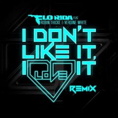 I Don’t Like It, I Love It (DiscoTech Remix)