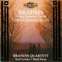 Brahms: String & Clarinet Quintet