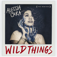 Wild Things (Remixes)