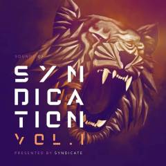 Sounds of Syndication, Vol .1 (Presented by Syndicate)