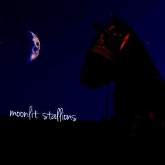 Moonlit Stallions