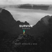 Survive (PLS&TY Remix)