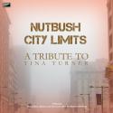 Nutbush City Limits - A Tribute to Tina Turner