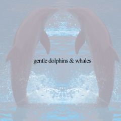 Gentle Dolphins & Whales 12