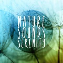 Nature Sounds - Serenity