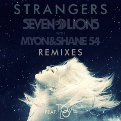 Strangers (My Digital Enemy Remix)