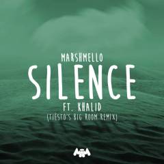 Silence (Tiësto's Big Room Remix)