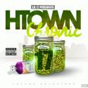 H-Town Chronic 17