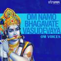 Om Namo Bhagavate Vasudevaya - Single