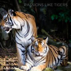 Passions Like Tigers