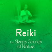 Reiki - The Sleepy Sounds of Nature