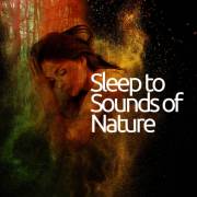 Sleep to Sounds of Nature