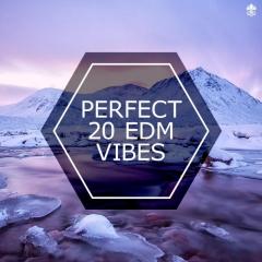 Perfect 20 EDM Vibes