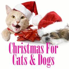 Christmas for Cats & Dogs