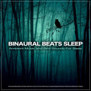 Binaural Beats Deep Sleep