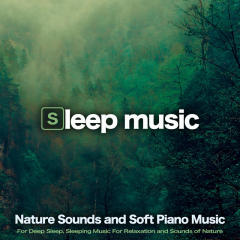 Calm Piano Sleeping Music with Nature Sounds