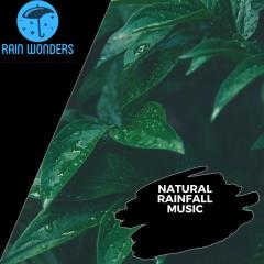 Natural Rainfall Music