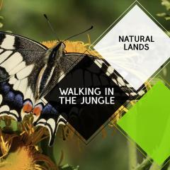 Walking in the Jungle - Natural Lands