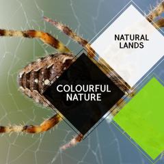 Colourful Nature - Natural Lands