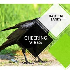 Cheering Vibes - Natural Lands