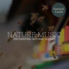 Nature Music - Enchanting Natural Sound