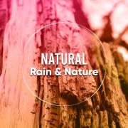 #Natural Rain & Nature