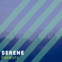 #Serene Forests