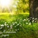 21 Kundalini, Yoga, Meditation and Sleep Enabling Rain Sounds
