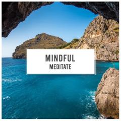 #Mindful Meditate