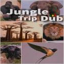 Jungle Trip Dub