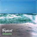 #Tropical Dreams
