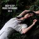 Deep Sleep Music Experience, Session 5