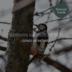 Daybreak Morning Songs - Songs of Nature