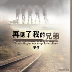 再见了我的兄弟