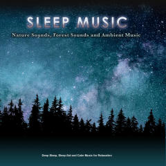 Sleep Music: Nature Sounds, Forest Sounds and Ambient Music for Sleeping, Deep Sleep, Sleep Aid and Calm Music for Relaxation