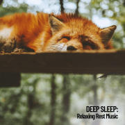 Deep Sleep: Relaxing Rest Music