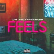 F.E.E.L.S. (feat. Chris Brown)