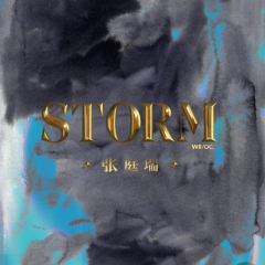 风暴 (STORM)