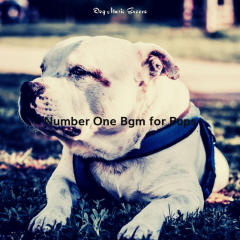 Number One Bgm for Pups