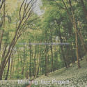 Trio Jazz - Background Music for Peaceful Mornings