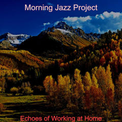 Echoes of Working at Home