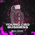 Young CEO Business