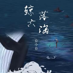 鲸落大海